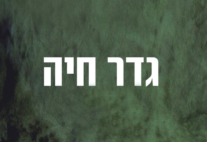 Камерный Театр — Преграда в Израиле