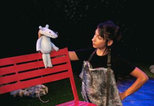 Театр Тмуна — Хорошая собака в Израиле