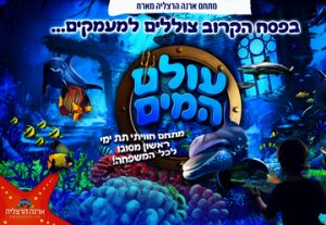 Водный мир — Ныряй в глубины в Израиле