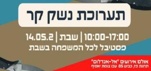 Выставка холодного оружия в Израиле