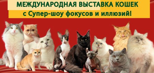 Большая Международная выставка кошек и Супер-Шоу Иллюзий