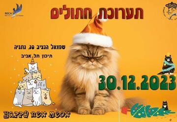 Новогодняя Выставка Кошек и Котят в Израиле