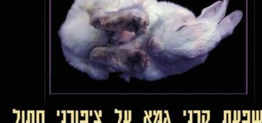 Влияние гамма-лучей на кошачьи когти — Театр Альфа в Израиле