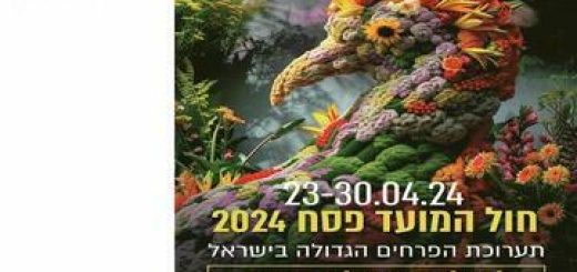 Самая большая выставка цветов в Израиле — Flowers в Израиле